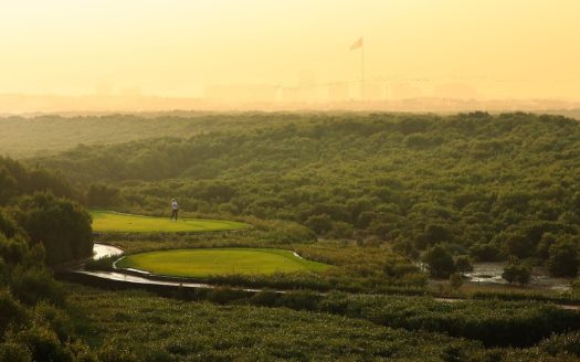Apartments located at Creek level with Mangrove View