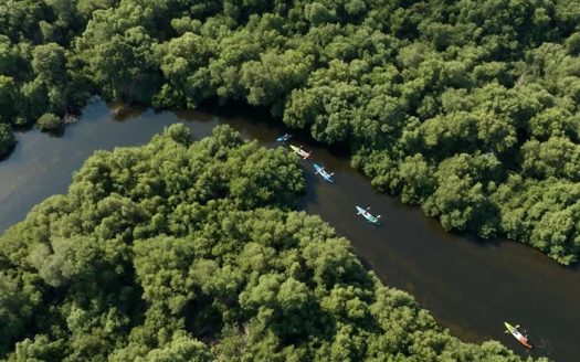 Sustainable Living | Free Hold | Marina View