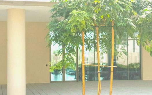 Corner Unit with Privet Dip Pool | Emerald Oasis