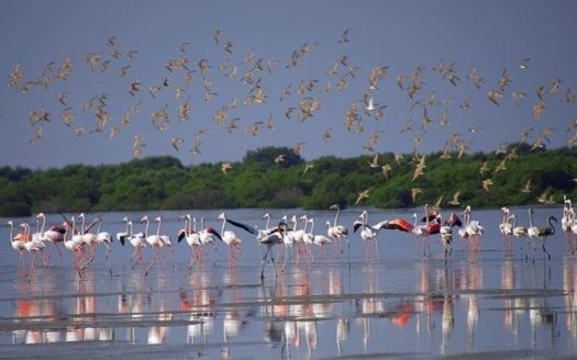 Full Sea View | Corner | No Commission | Freehold