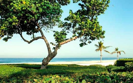 Beachfront Living | Next to Four Season Resort