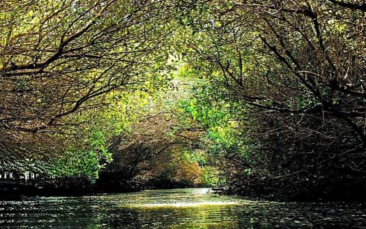 Beachfront Living | Next to Four Season Resort