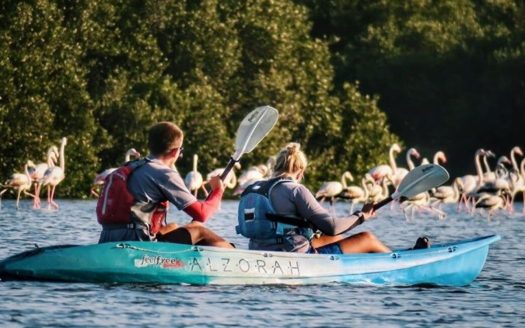 Full Sea View | Corner | No Commission | Freehold