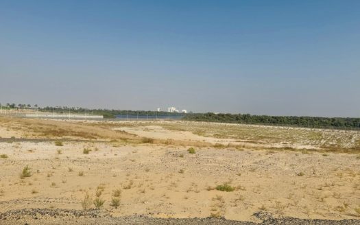 Anchor Your Business in the Heart of Al Zorah Marina