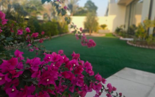 Luxury Villa | Charming Nature | Ready To Move