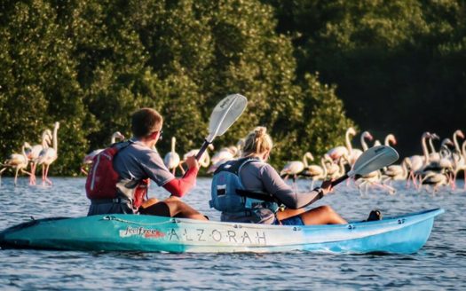 Elevate Your Vision, Plot with Panoramic Views in Al Zorah, Ajman