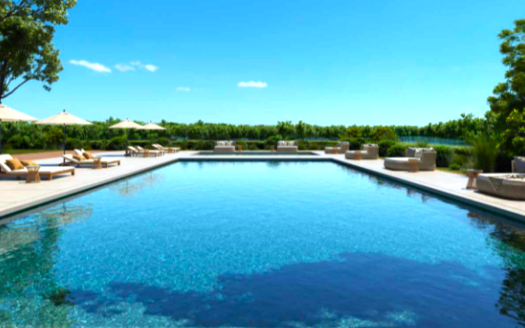 Apartments located at Creek level with Mangrove View