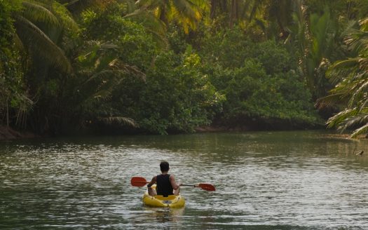 Apartments located at Creek level with Mangrove View