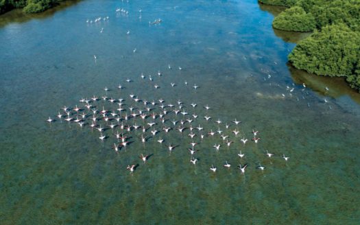 Prime Creekside Plot with Three-Aspect View