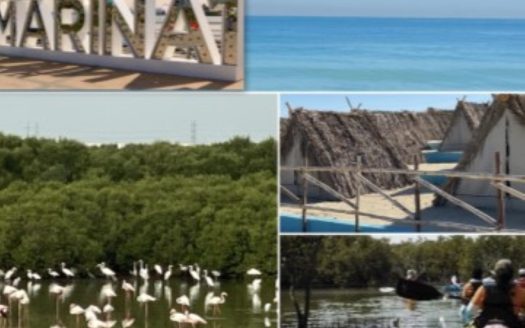 Exclusive Freehold Residential Plot with Marina View