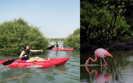 Emerald Oasis – 2% Down Payment – 3 Years Post Handover Payment Plan