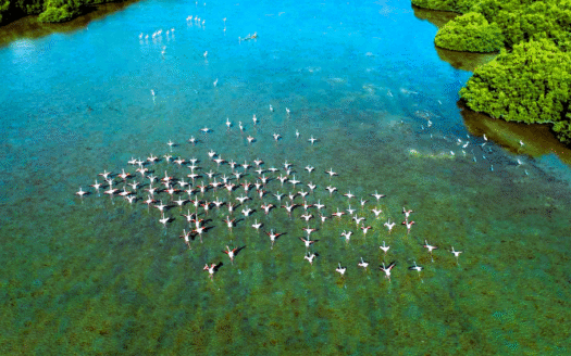 Corner Creek | Golf Views | High ROI