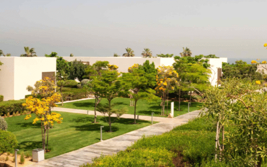 Park View | Partial Sea Views | Free Hold