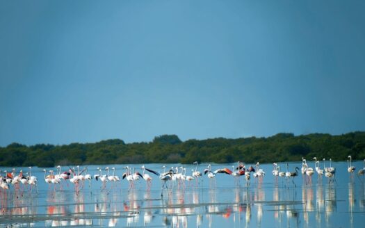 Prime Marina Development Site with Multi-Use Potential