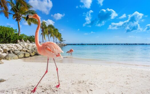 Versatile Freehold Plot, Perfect for both Homes and Business in Al Zorah