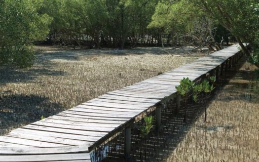 Commercial plot with Exceptional Visibility in Al Zorah, Ajman