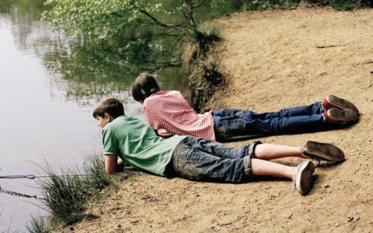 Commercial plot with Exceptional Visibility in Al Zorah, Ajman