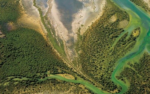 Commercial plot with Exceptional Visibility in Al Zorah, Ajman