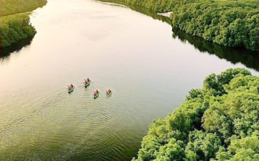 Rare MixedUse Property with Parkfront Views | G+15.5