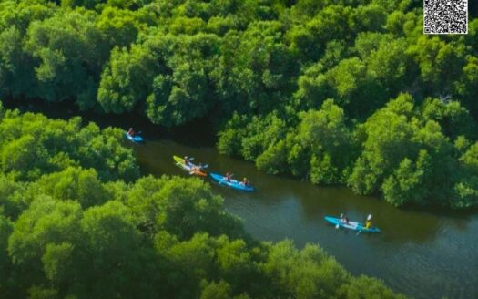 Scenic Park-Facing MixedUse Space | 15% Upfront