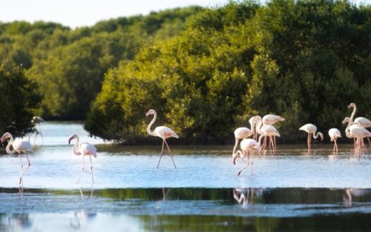 Hotel Permit | Full Marina View | G+14 | Mixed Use