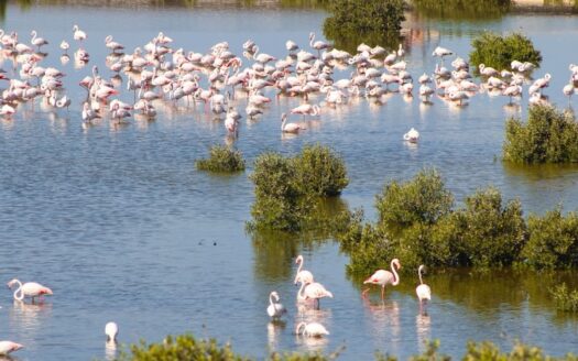 Secure with 15% | Elite Creek front Golf Views