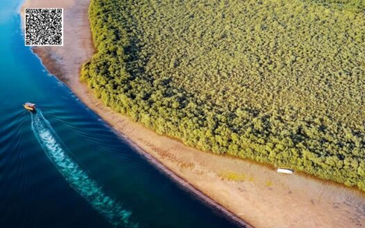 UAE Investment Location with High ROI – Near White Sandy Beach